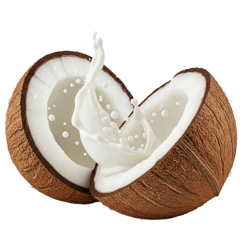 resh Cracked Coconut with Splashing Coconut Milk